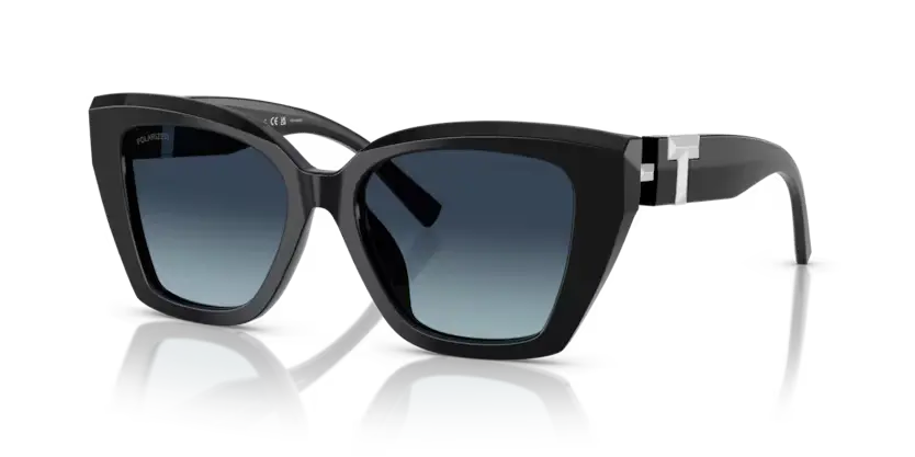 Tiffany & Co. Sunglasses Cat Eye Black Frame Polarised TF4239U 83944U