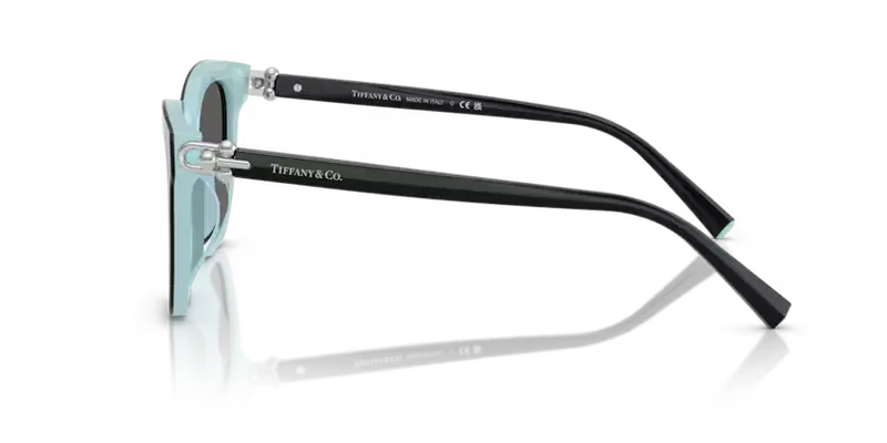 Tiffany & Co. Sunglasses Square Black Frame TF4241D 8055S4