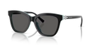 Tiffany & Co. Sunglasses Square Black Frame TF4241D 8055S4