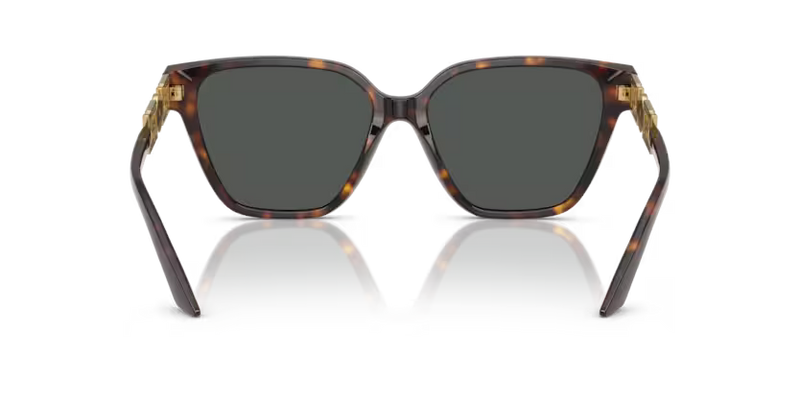 Versace Sunglasses Butterfly Havana Frame Grey Lens VE4471B 108/87