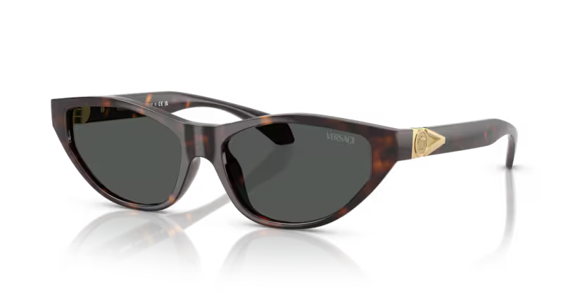 Versace Sunglasses Cat-Eye Havana Frame Grey Lens VE4491U 108/87