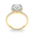 Cushion Cut Halo Pavé Engagement Ring