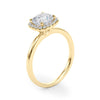 Cushion Cut Halo Engagement Ring DiamondStatus