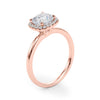 Cushion Cut Halo Engagement Ring DiamondStatus