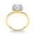Cushion Cut Halo Engagement Ring