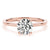 Round Hidden Halo Engagement Ring