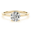Round Hidden Halo Engagement Ring