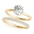 Round Hidden Halo Engagement Ring