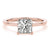 Princess Hidden Halo Engagement Ring