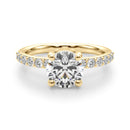 Round Pavé Engagement Ring DiamondStatus
