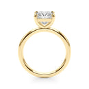 Princess Solitaire Engagement Ring