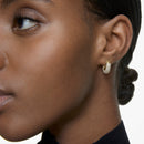 Swarovski Dextera Hoop Earrings 5636530