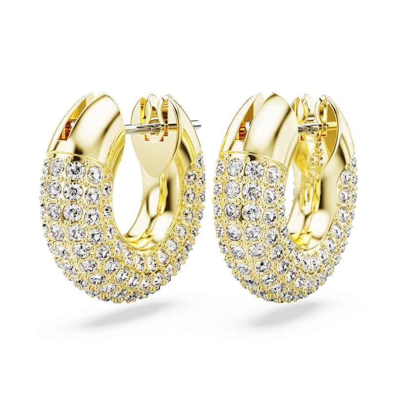 Swarovski Dextera Hoop Earrings 5636530