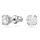 Swarovski Stilla Round Stud Earrings 5636712