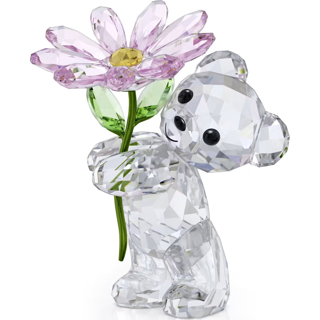 Swarovski Kris Bear A Daisy For You Figurine 5675327