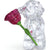 Swarovski Kris Bear A Rose with Love Figurine 5691390