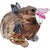 Swarovski Idyllia Fox and Butterfly Figurine 5701250