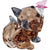 Swarovski Idyllia Fox and Butterfly Figurine 5701250