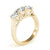 Round Trilogy Engagement Ring