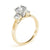 Round Emerald Shoulders Engagement Ring