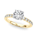 Round Pavé Engagement Ring DiamondStatus