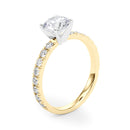 Round Pavé Engagement Ring DiamondStatus