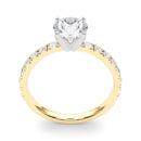 Round Pavé Engagement Ring DiamondStatus