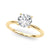 Round Solitaire Engagement Ring