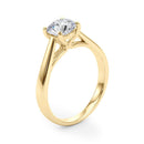 Round Solitaire Engagement Ring DiamondStatus