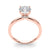 Round Solitaire Hidden Halo Engagement Ring
