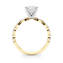 Princess Cut Marquise Shoulders Engagement Ring