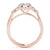 Round Cut Shoulders Engagement Ring