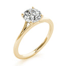 Round Solitaire Engagement Ring DiamondStatus