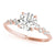Round Scatter Shoulders Engagement Ring