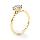Round Solitaire Engagement Ring DiamondStatus