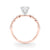 Round Scatter Engagement Ring