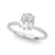 Oval Hidden Halo Pavé Engagement Ring