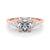 Round Cut Pear Shoulders Engagement Ring