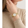 Ted Baker Emily Watch Ladies Gold BKPEMF3029I Ted Baker