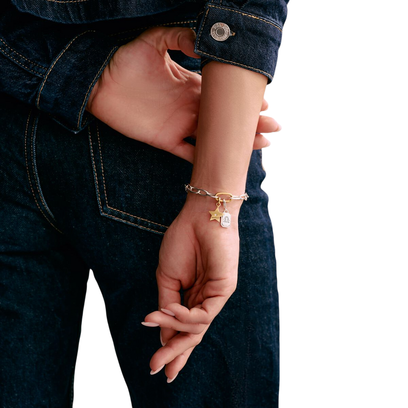 Thomas Sabo Charm Bracelet Connect Link Two-Tone C1204-413-7