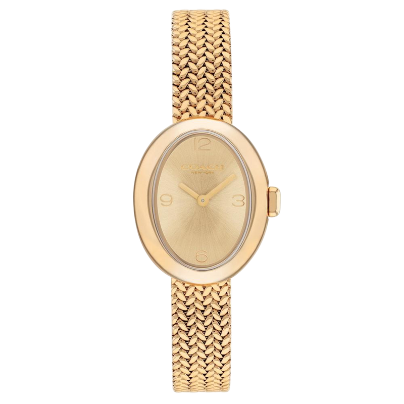 Coach Sammy Ladies Gold Mesh Watch 14504567