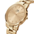 Daniel Wellington Iconic Link Ladies Watch Gold Dial DW00100403