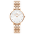 Daniel Wellington Petite Lumine Ladies Watch Rose Gold DW00100613