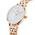 Daniel Wellington Petite Lumine Ladies Watch Rose Gold DW00100613