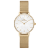Daniel Wellington Petite Lumine Ladies Watch Gold DW00100662 Daniel Wellington