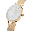 Daniel Wellington Petite Lumine Ladies Watch Gold DW00100662 Daniel Wellington