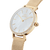 Daniel Wellington Petite Lumine Ladies Watch Gold DW00100662