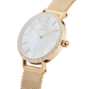 Daniel Wellington Petite Lumine Ladies Watch Gold DW00100662