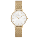 Daniel Wellington Petite Lumine Ladies Watch Gold DW00100662
