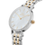 Daniel Wellington Petite Lumine Ladies Watch Two-Tone DW00100665